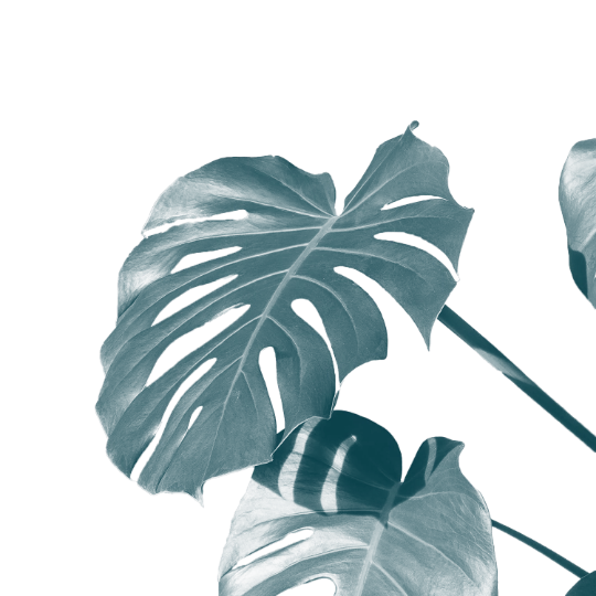 graphic of a blue plant